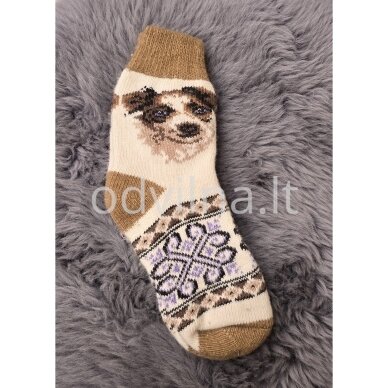 Kojinės Kojinės