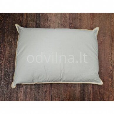 Pagalvė