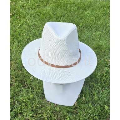 Skrybėlė