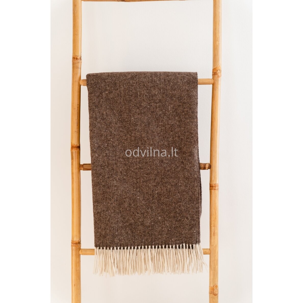 Vilnonis pledas Vilnonis pledas