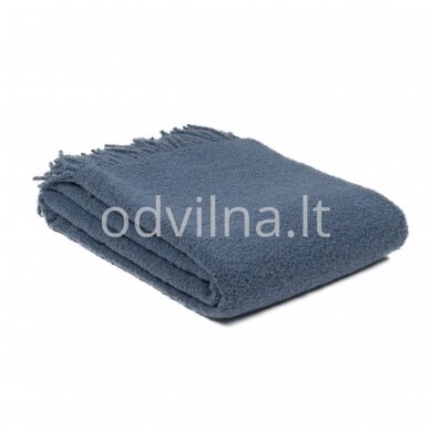 Vilnonis merino pledas Vilnonis merino pledas