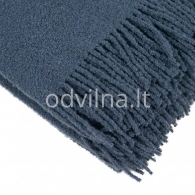 Vilnonis merino pledas 1 Vilnonis merino pledas 1