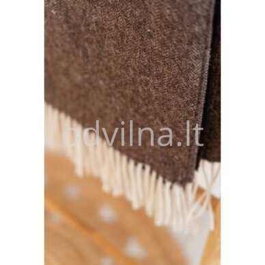 Vilnonis pledas 1