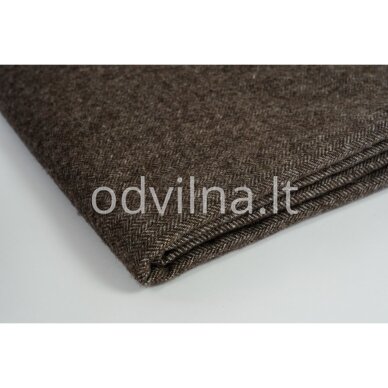 Vilnonis pledas 2