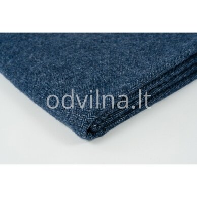 Vilnonis pledas 1